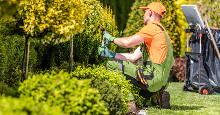 SEO for Landscapers