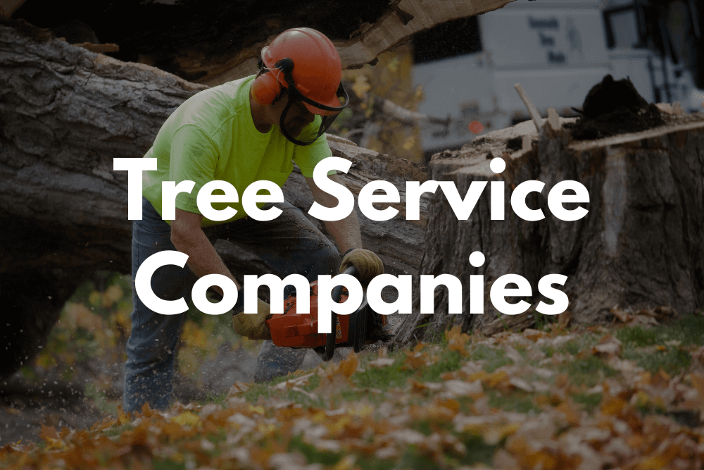 Tree Services